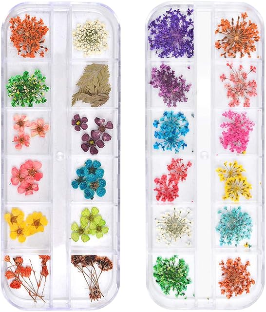 TEOYALL 24 Colors Dried Flowers for Nail Art, 2 Boxes 3D Dry Flowers Nail Stickers Colorful Natural Real Flower Nail Decals (A)