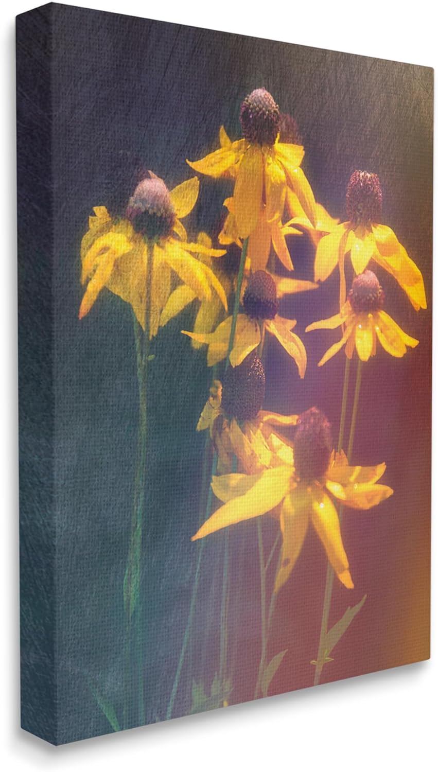 Stupell Industries Black-Eyed Susan Photography Canvas Wall Art by Daniel Sproul