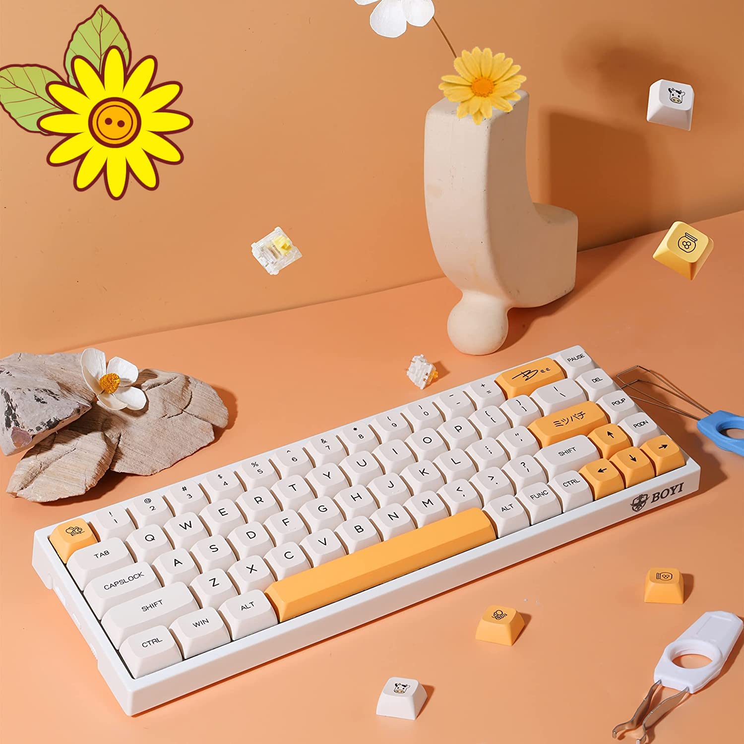 https://m.media-amazon.com/images/I/71suINj-sOL.jpg