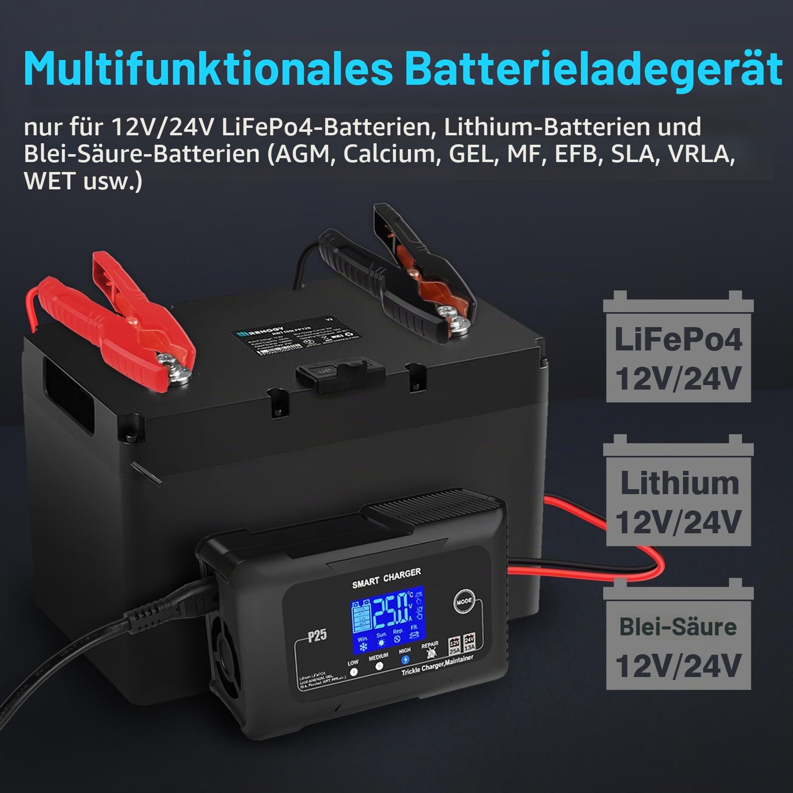 HTRC 25A Autobatterie Ladegerät 12V/24V für AGM, Gel, EFB, LiFePO4-Akkus
