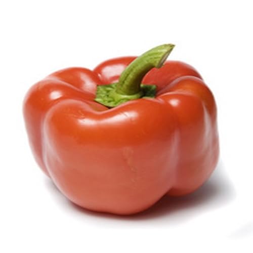 Brown Butter Pasta with Walnuts - //medicalbooks.filipinodoctors.org