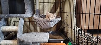 Review Image by pwes67 pwes67