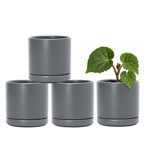 D'vine Dev Juego de 4 macetas pequeñas de cerámica, maceta para suculentas de 3.5 pulgadas para plantas con orificio de drenaje y platillo, gris,