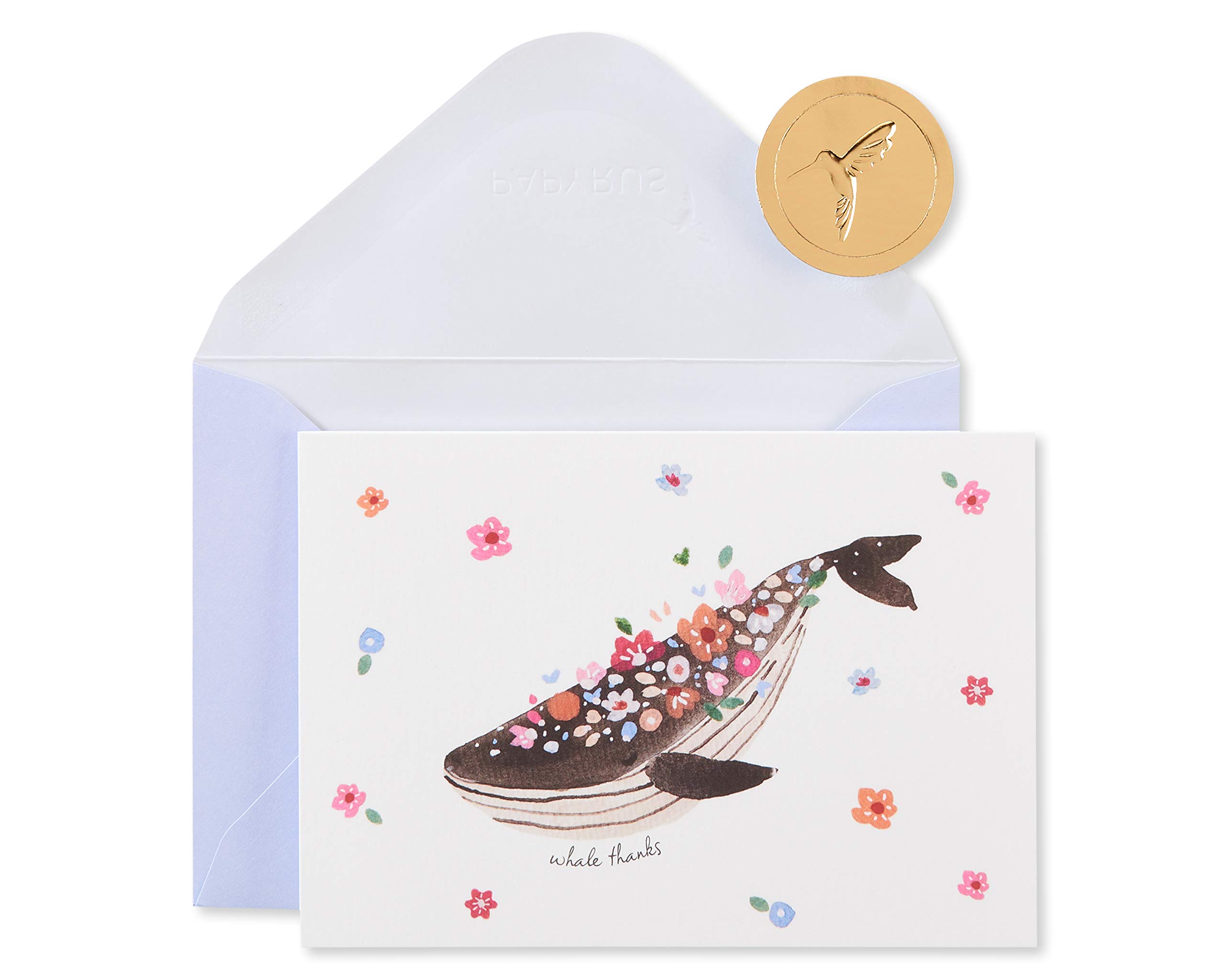Papyrus Thank You Cards with Envelopes, Whale Thanks (14-Count)