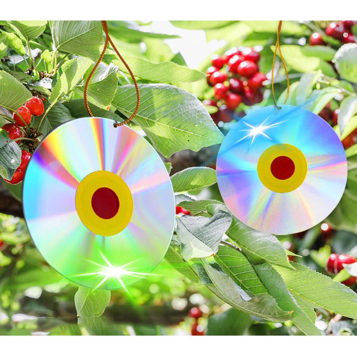 Yardwe 20 Piezas Decoración De Pájaros En El Jardín. Decoración De Pájaros Ahuyentador De Pájaros De Bricolaje CD Reflectantes El Plastico Asustar a Los Pájaros Aves