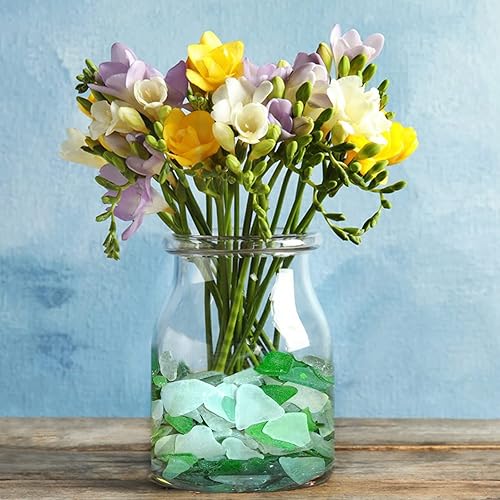 Miniatura 6 de Giftvest Vidrio de mar para manualidades, piezas de vidrio marino esmerilado de 16 onzas, relleno de jarrón, suministros de manualidades para