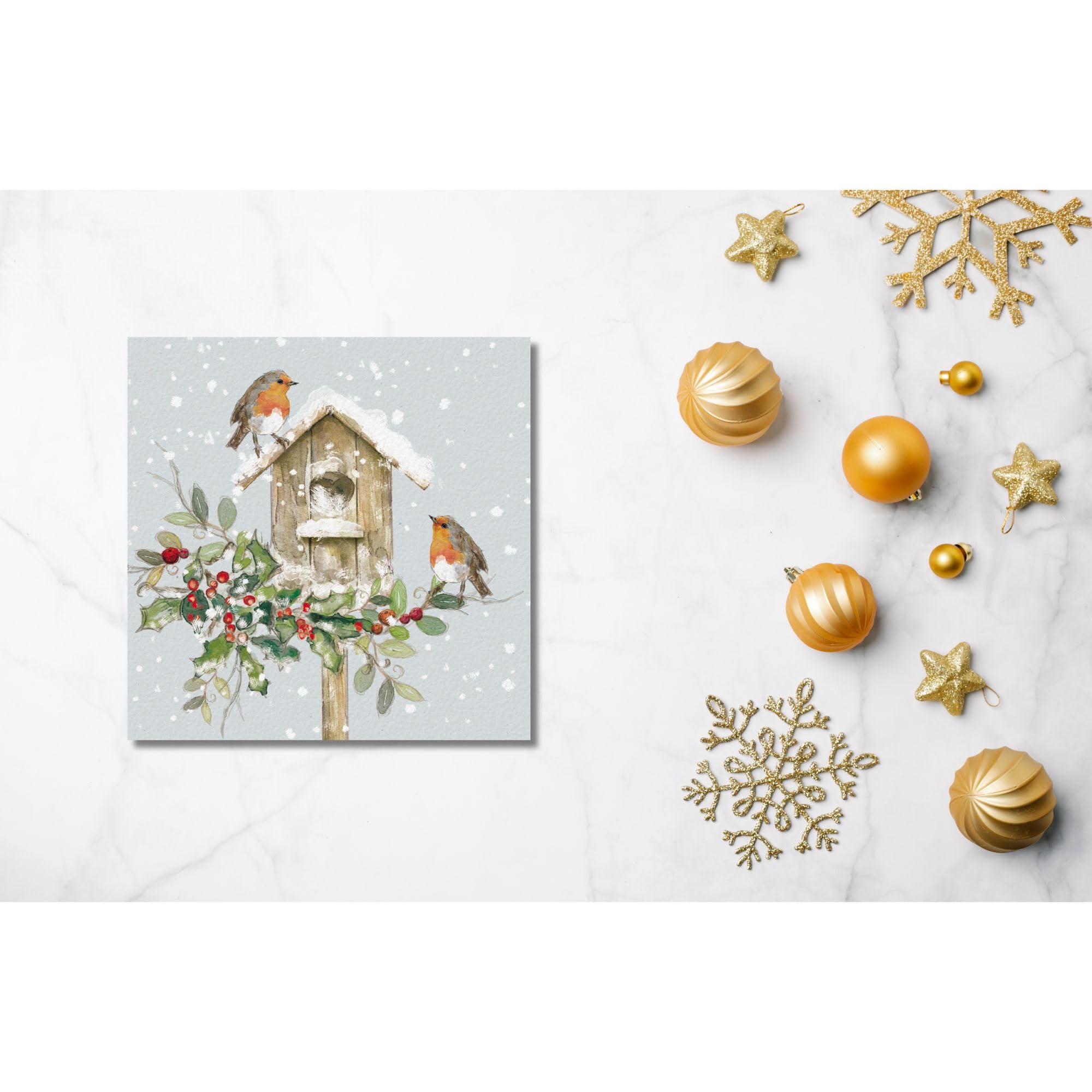GBCC Charity Christmas Cards Pack of 10, Festive Robins & Birdhouse in the Snow - Image 3