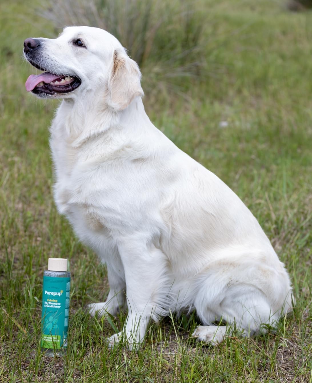 71suQDtEpgL. AC SL1339