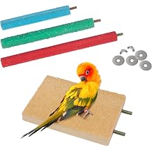 Papa an ku  t ne i stand , do al ah ap platformlu ku  t rnak makas , t nek, parakeet, papa an, muhabbet ku lar , ku  kafesi aksesuarlar , rastgele renk