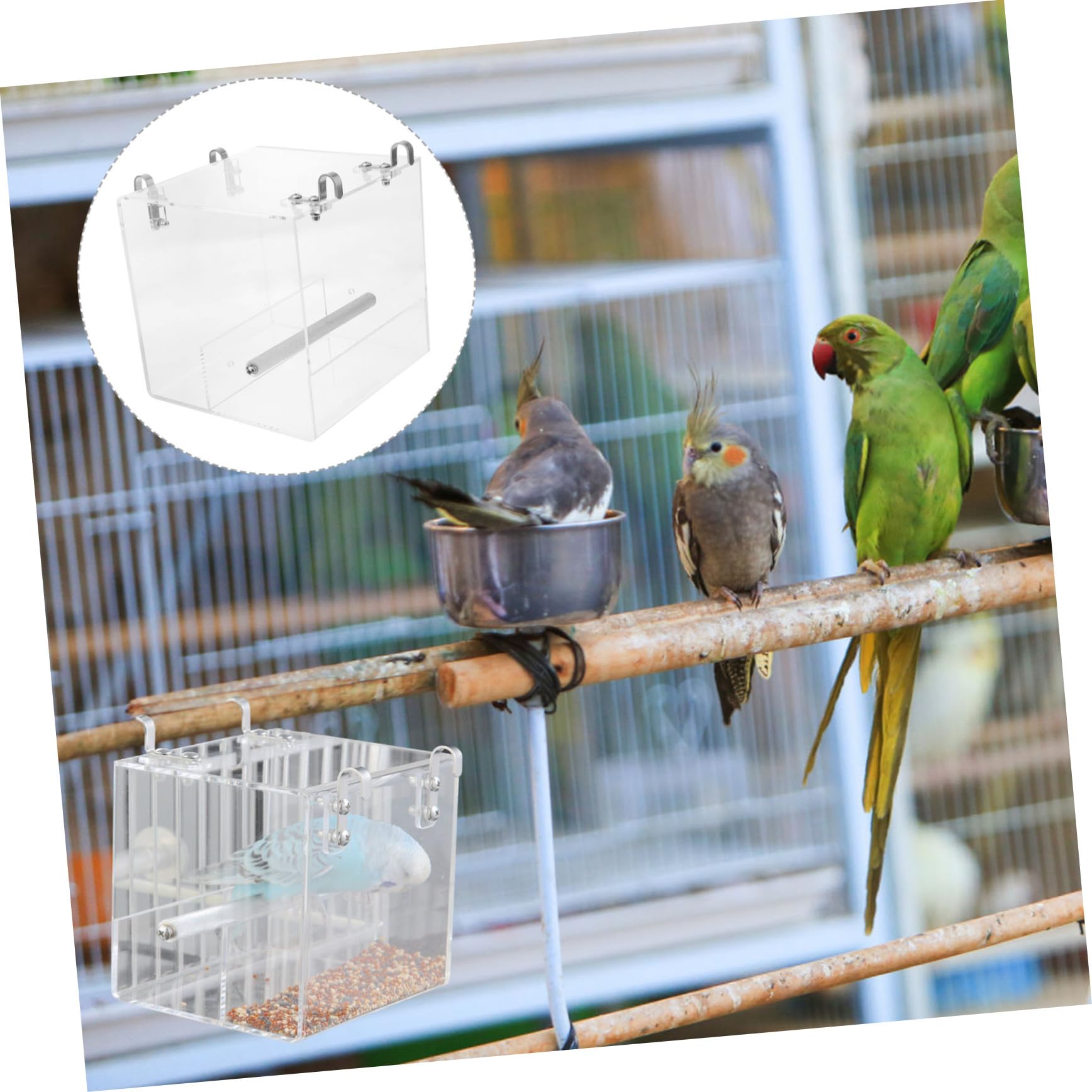 Mangiatoia Uccelli Parrocchetti e Pappagalli Plastica Trasparente Ciotola da Gabbia Facile da Installare e Pulire Accessorio Alimentazione Automatico per Piccoli Volatili