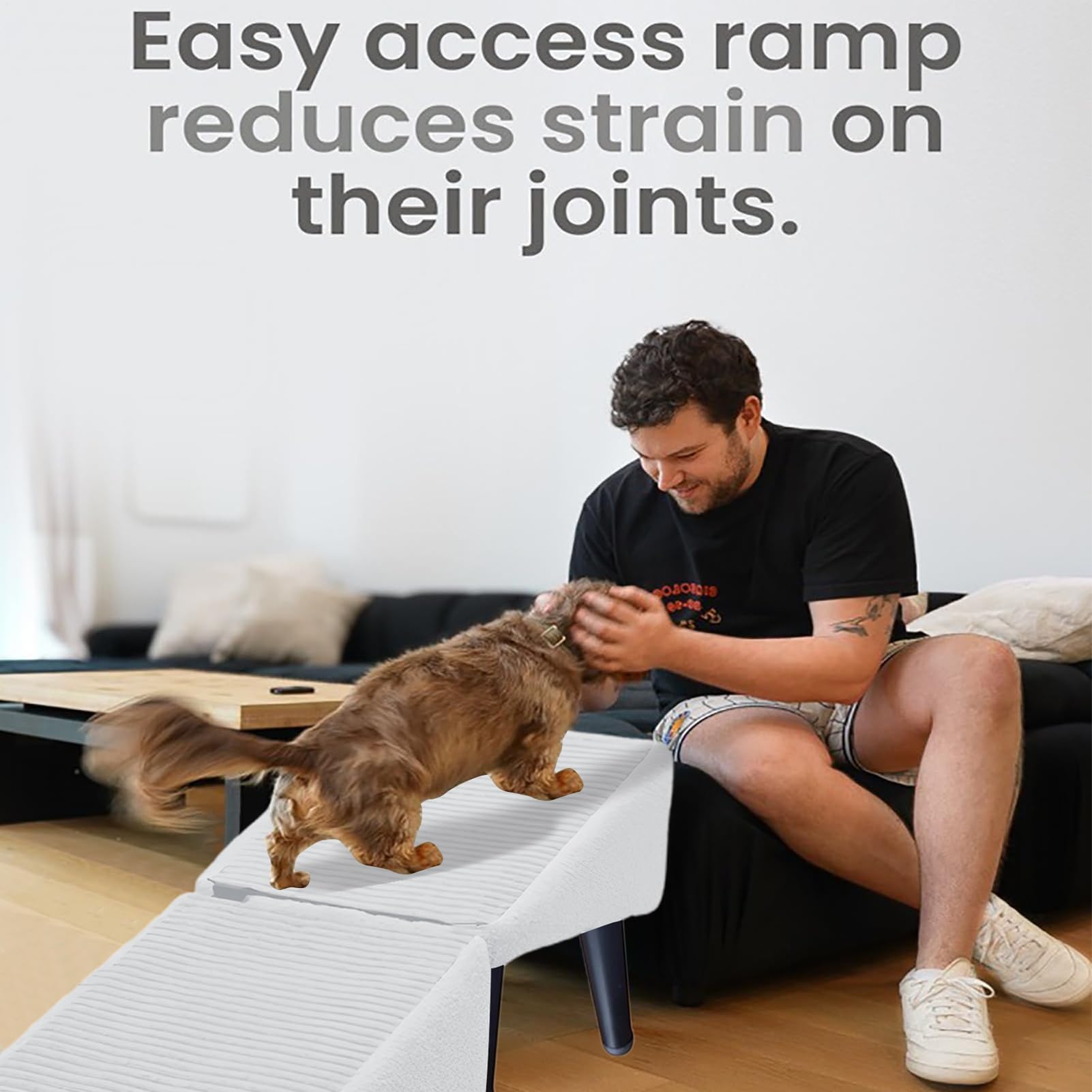 Rampa Cani Divisa Per Letto E Divano, Rampa Pieghevole Cani, Sgabello Antiscivolo Gradini Divisi Per Canis Piccola Taglia Gatti, Sgabello Multifunzionale Resistente Allusura Scale Canis Gatti