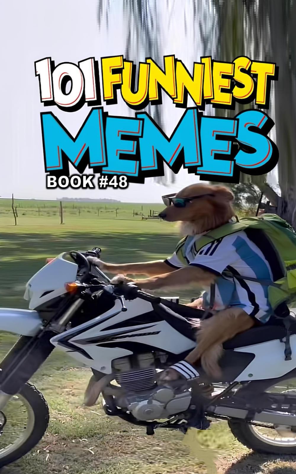 101 FUNNIEST MEMES: BOOK 48