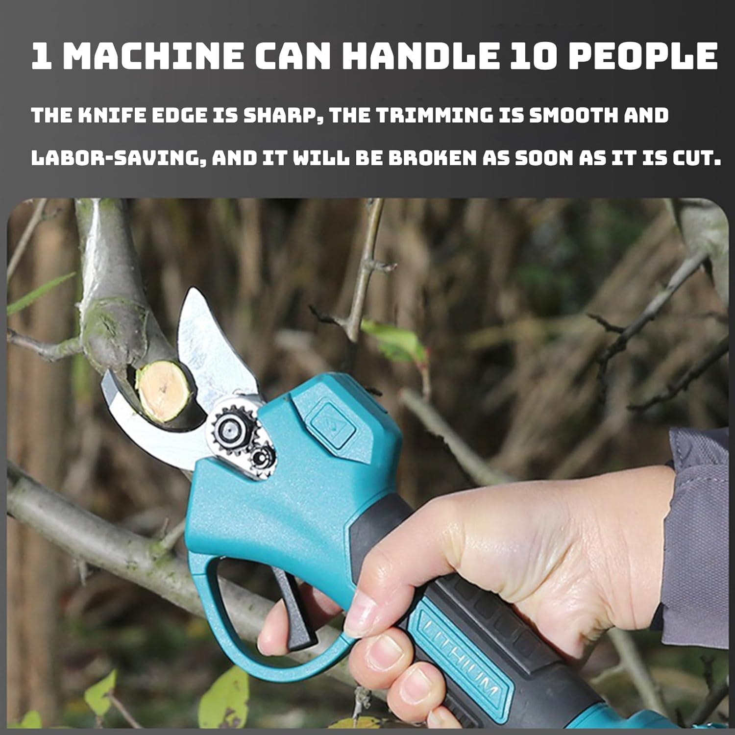 Cordless Pole Saw, High Branch Saw with Brushless Chainsaw, Pruner Shear, 2M Telescopic Rod, Battery and Charger Included for Garden Tree Trimming Pruning 1battery