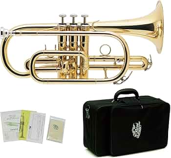 71suUc40XmL._AC_UF350,