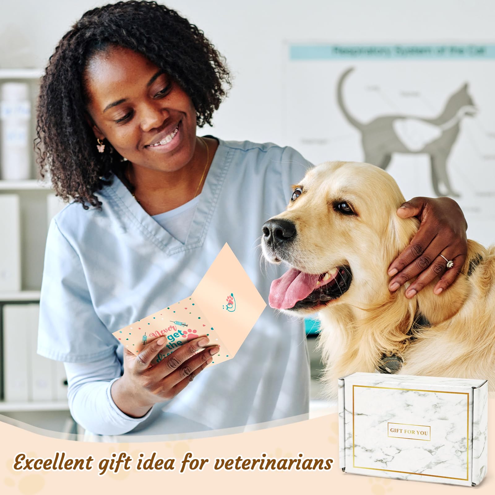 Veterinarian Gift Vet Paperweight with Gift Box and Card Vet Gift Acrylic Paper Weight for Veterinary Day Vet Tech Week Vet Tech Gift Idea Table Decoration Centerpiece Christmas Gift for Dog Cat Lover