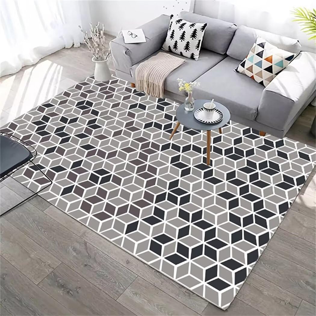 Tapis de salon lavable moderne gris 100x200cm pour chambre et dressing