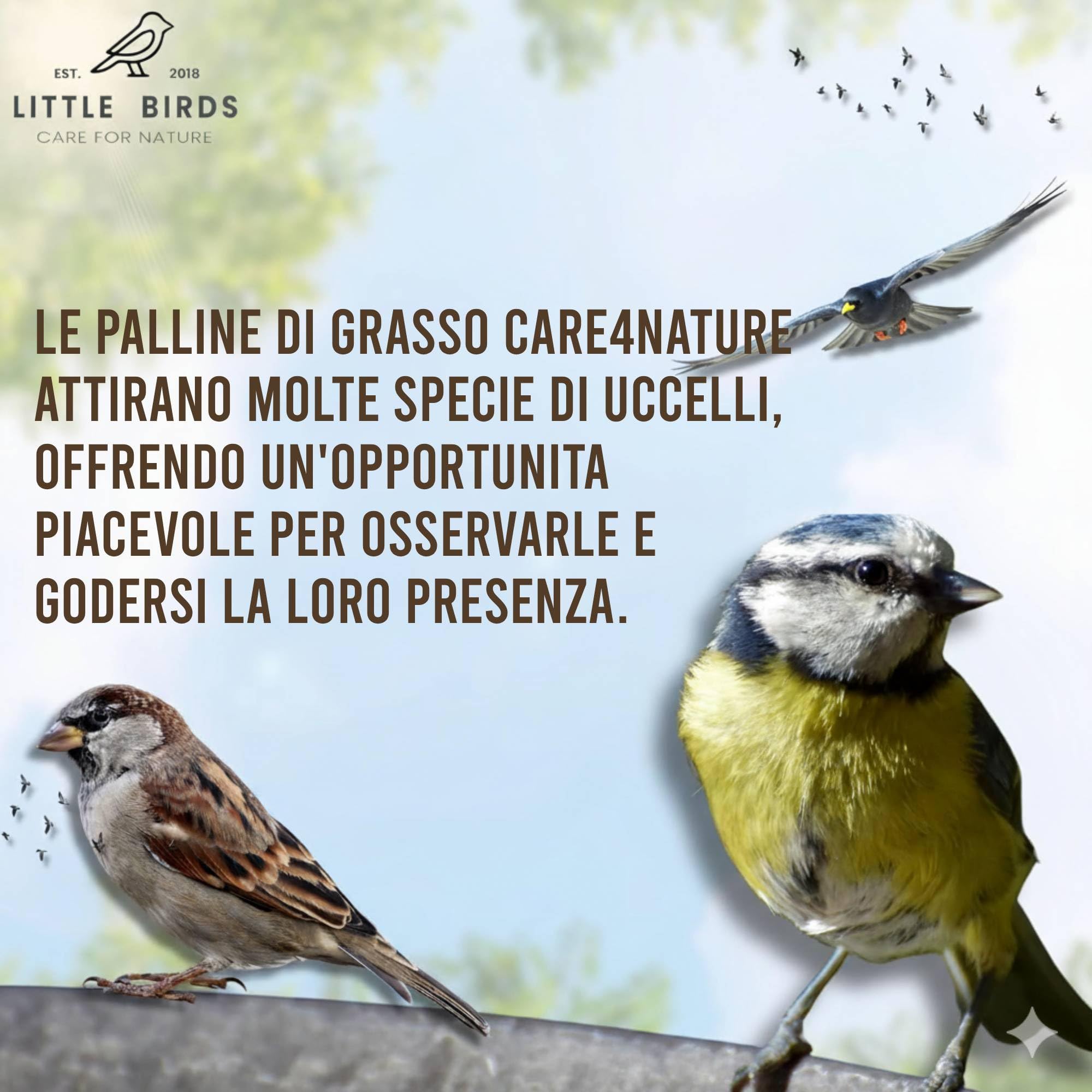 Care4Nature 100 Palline di Grasso per Uccelli Selvatici - Ingredienti Naturali