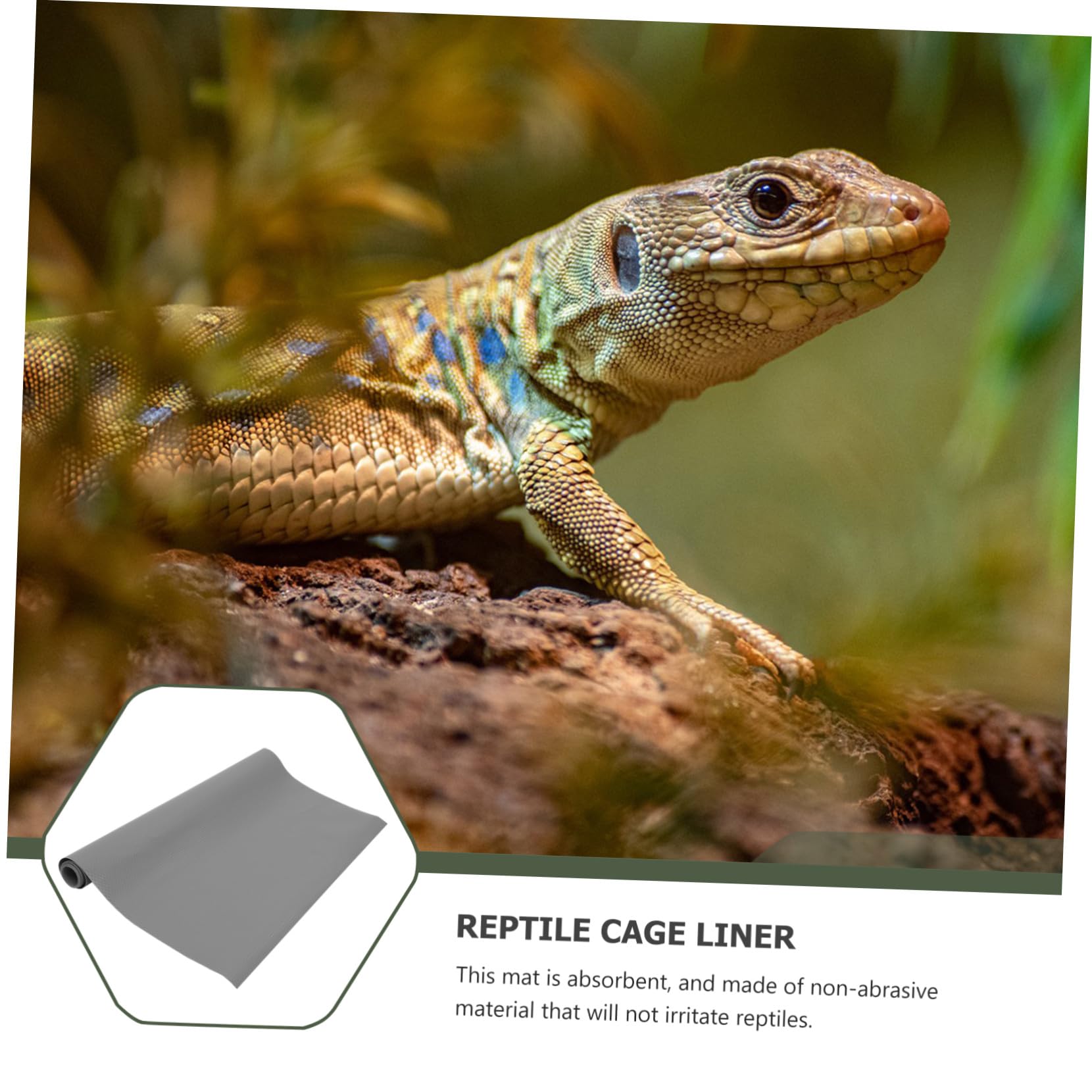 Reptilien-Teppich Als Terrarium-auskleidung Reptilienkäfig-Boden Leicht Zu Reinen Und Wiederverwendbare Matte Für Haustiere Als Substrat Für Eidechsen Und Andere Reptilien