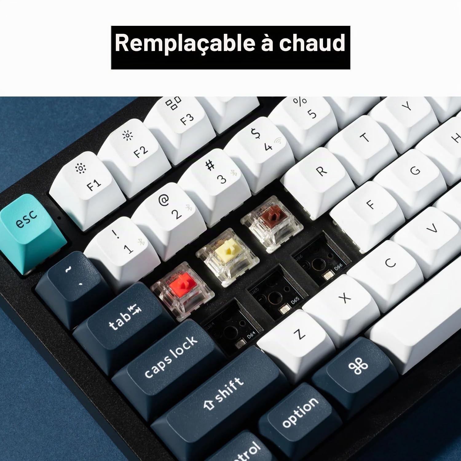 Keychron Q1 Max Clavier Mécanique sans Fil, Disposition des Touches Complète avec Bouton, Programmable QMK/Via, 2,4 GHz/Bluetooth/Filaire, Commutateurs Gateron Rouge pour Mac/Win - Noir (FR Layout)