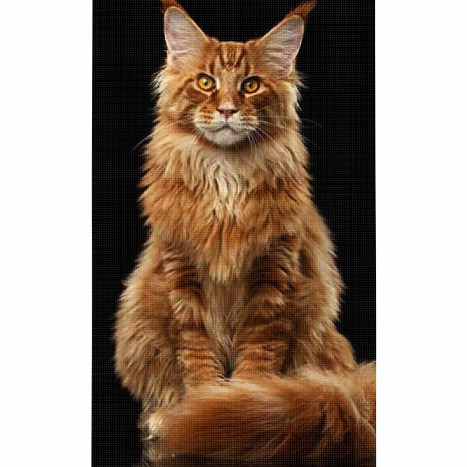 Maine Coon Pre-Printed Stamped Cross Stitch Kits Adults Advanced Embroidery Kit Beginners Kids UK Animals Spring 11CT