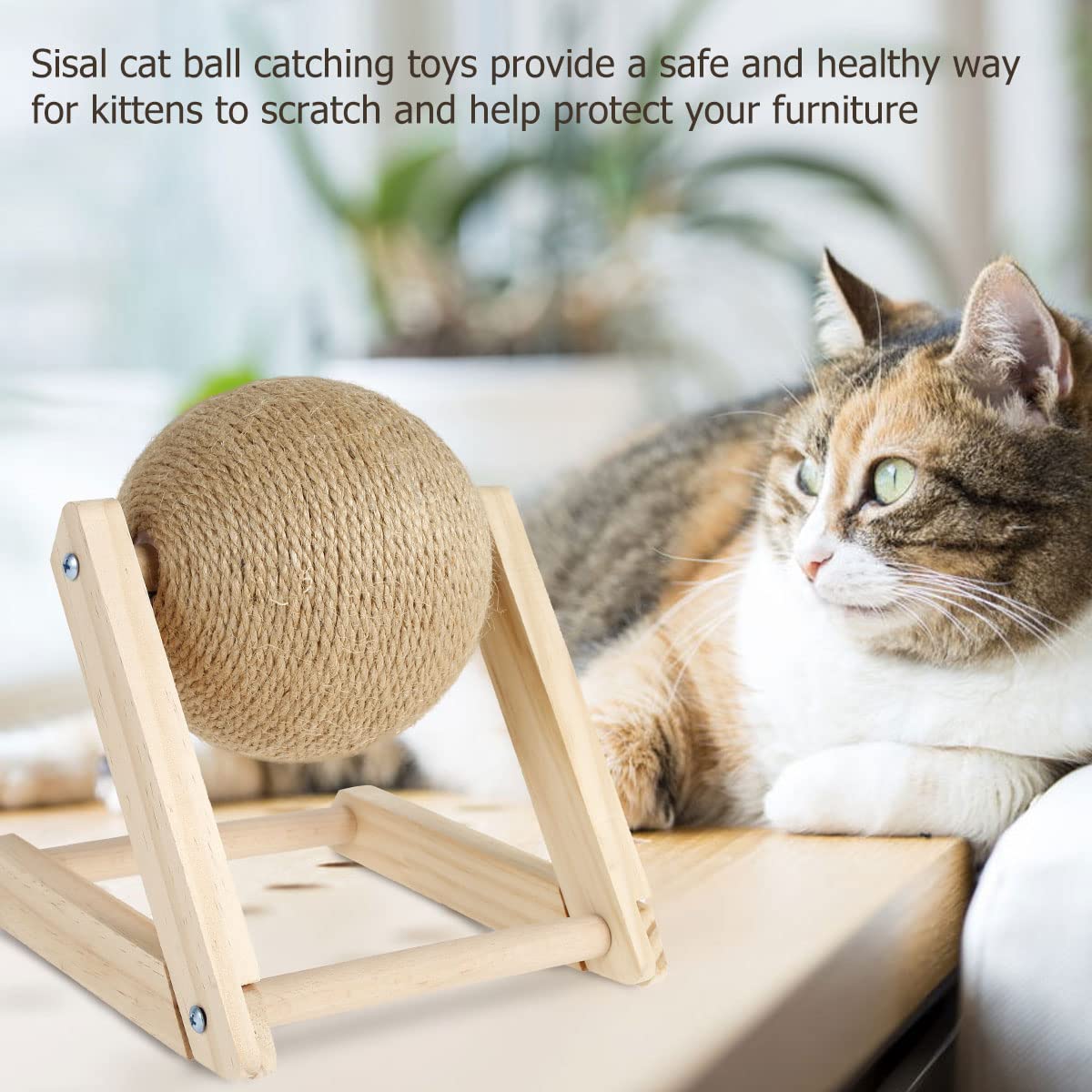 Foppla Cat Scratcher Sisal Scratching Ball & Sturdy Solid Wood Post with Rotatable Ball, 7x7x6.3 Inch - Image 4