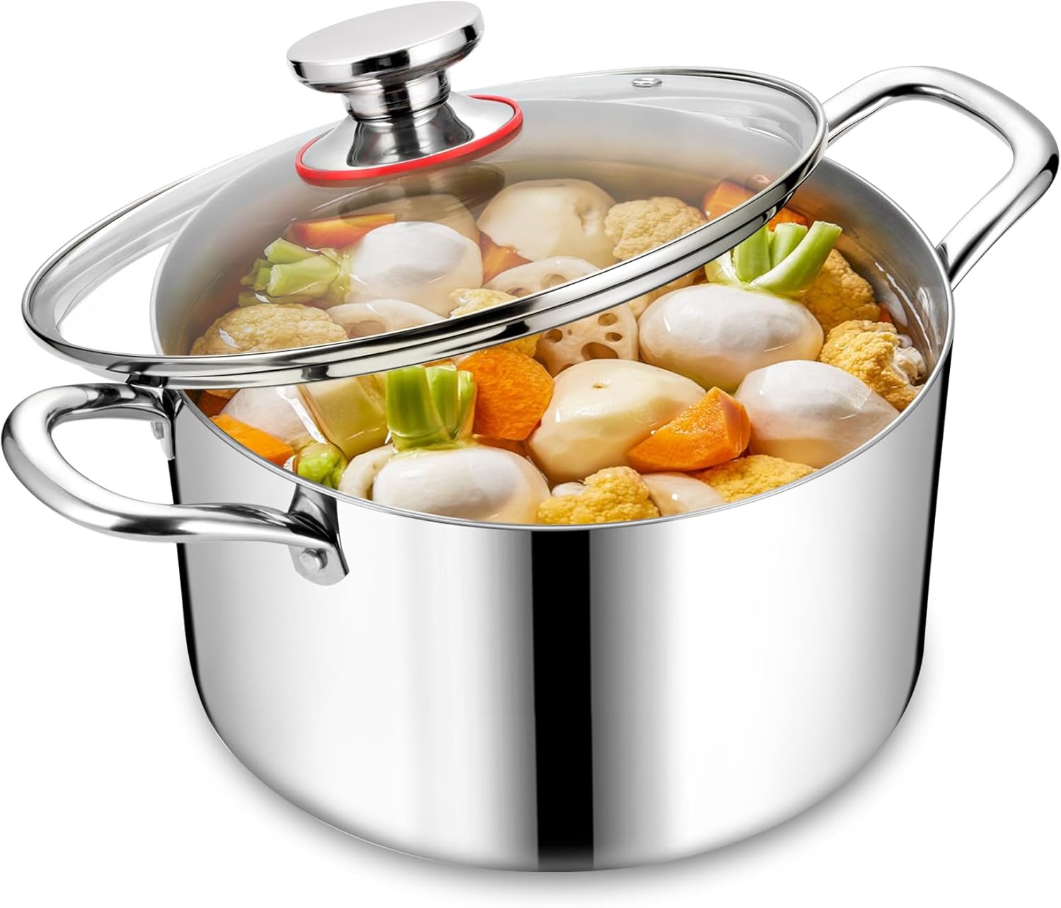 Stainless Steel Stock Pot, Homikit 6QT Large Stockpot with Glass Lid, Heavy Duty Tri-ply Pasta Chicken Soup Pot Induction Cookware for Steaming and Stewing, Dishwasher Safe