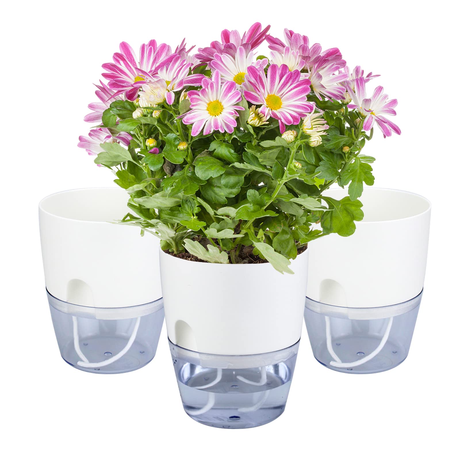 AHKUNMT 6 Inch Self Watering Planter,3 Pack Indoor Plants Flower Pots Outdoor with Wick Rope-White (White)