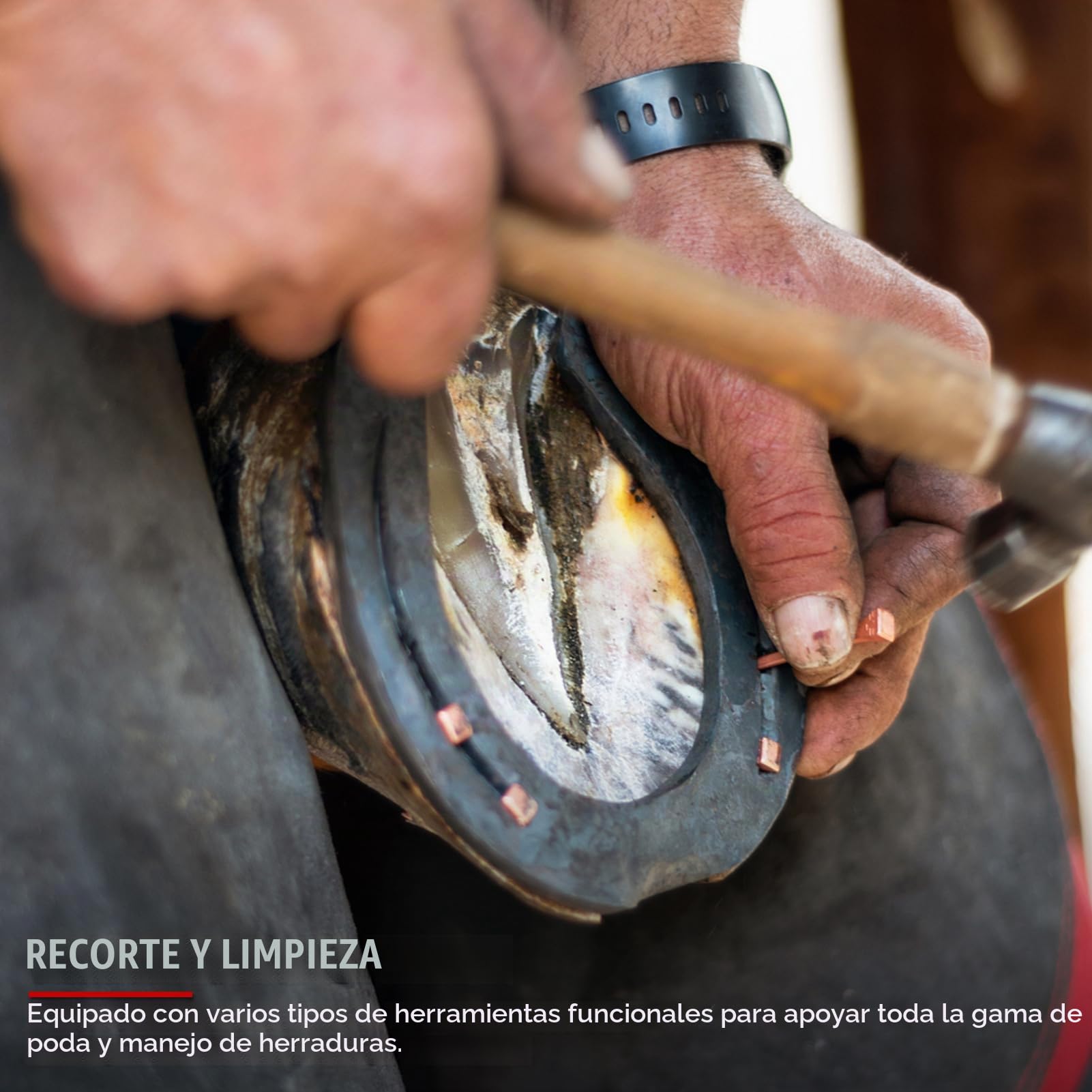 Herramienta de herrador de Caballos, 9 Piezas de Acero, Hierro, Herradura, Cortador de alicates, escofina para pezuñas de Caballo con Mango ergonómico, Martillo, Herramienta para pezuñas