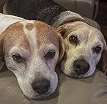 Review Image by Ben says Ben says