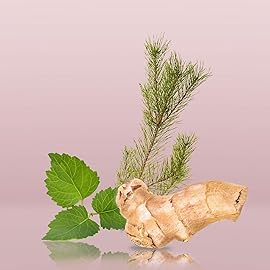 Calvin Klein Euphoria Deodorant for Men With Notes of Ginger, Black Basil, Creamy Suede Accord & Patchouli 2.6 fl oz