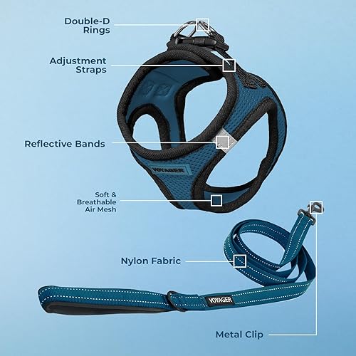Miniatura 3 de Best Pet Supplies - Arnés Voyager Step-in Air de malla y correa reflectante para perro de 5 pies, apta para todos los climas, con mango de neopreno,