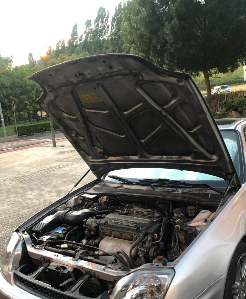 Ammortizzatori Cofano Per Honda Prelude BB5-BB9 1997-2001 | Supporti Sollevamento In Fibra Di Carbonio Nero