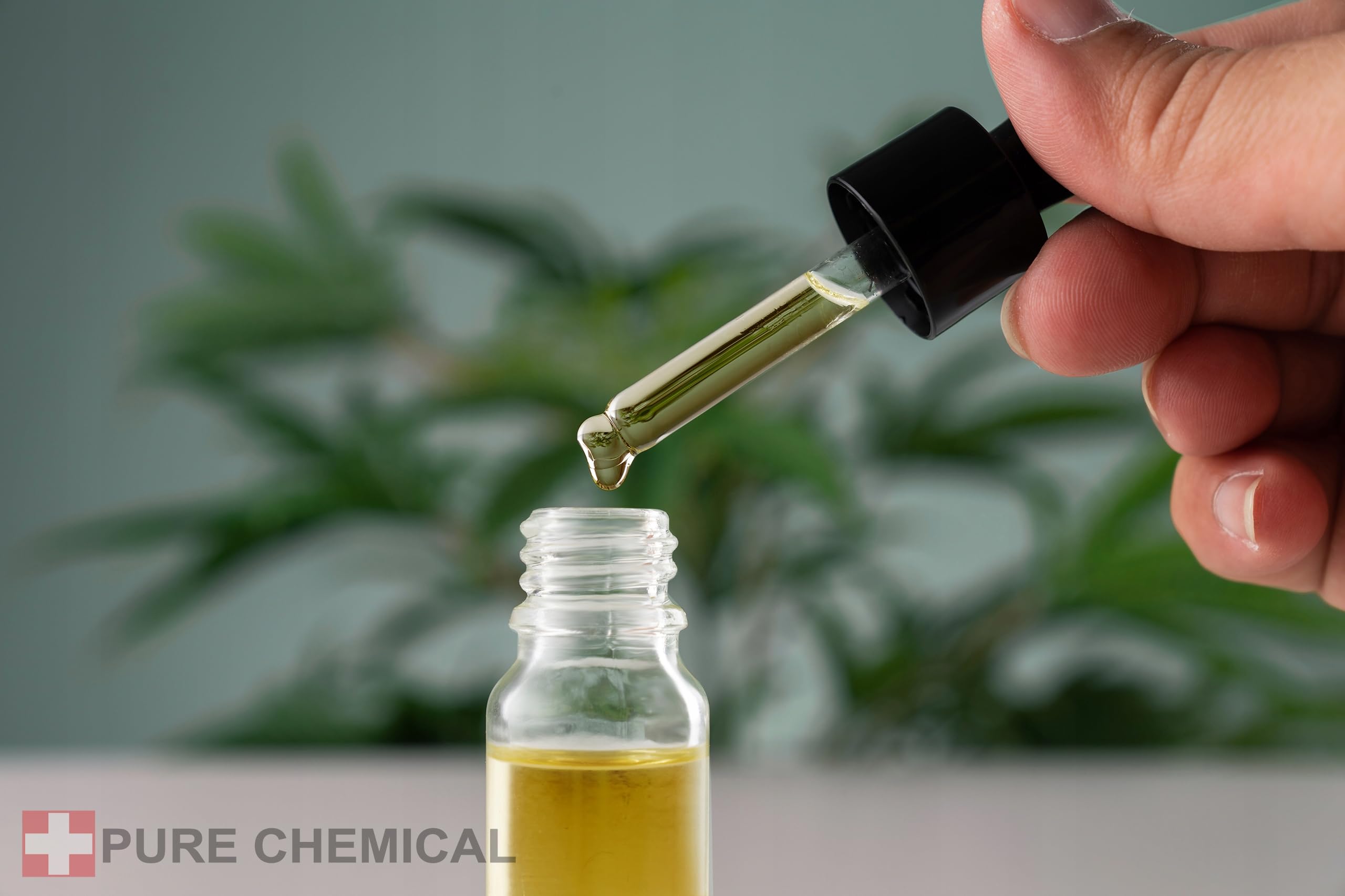 CHOSA Olio di Moringa 1L con Dispenser, Spremuto a Freddo, Non Raffinato, per Corpo Viso Capelli e Cosmetici Fai da Te
