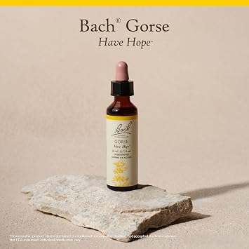 Bach Original Flower Remedies, Gorse - Have Hope - Natural Homeopathic Flower Essence for Emotional Balance - Vegan, Gluten Free, Sugar Free - 20mL Dropper