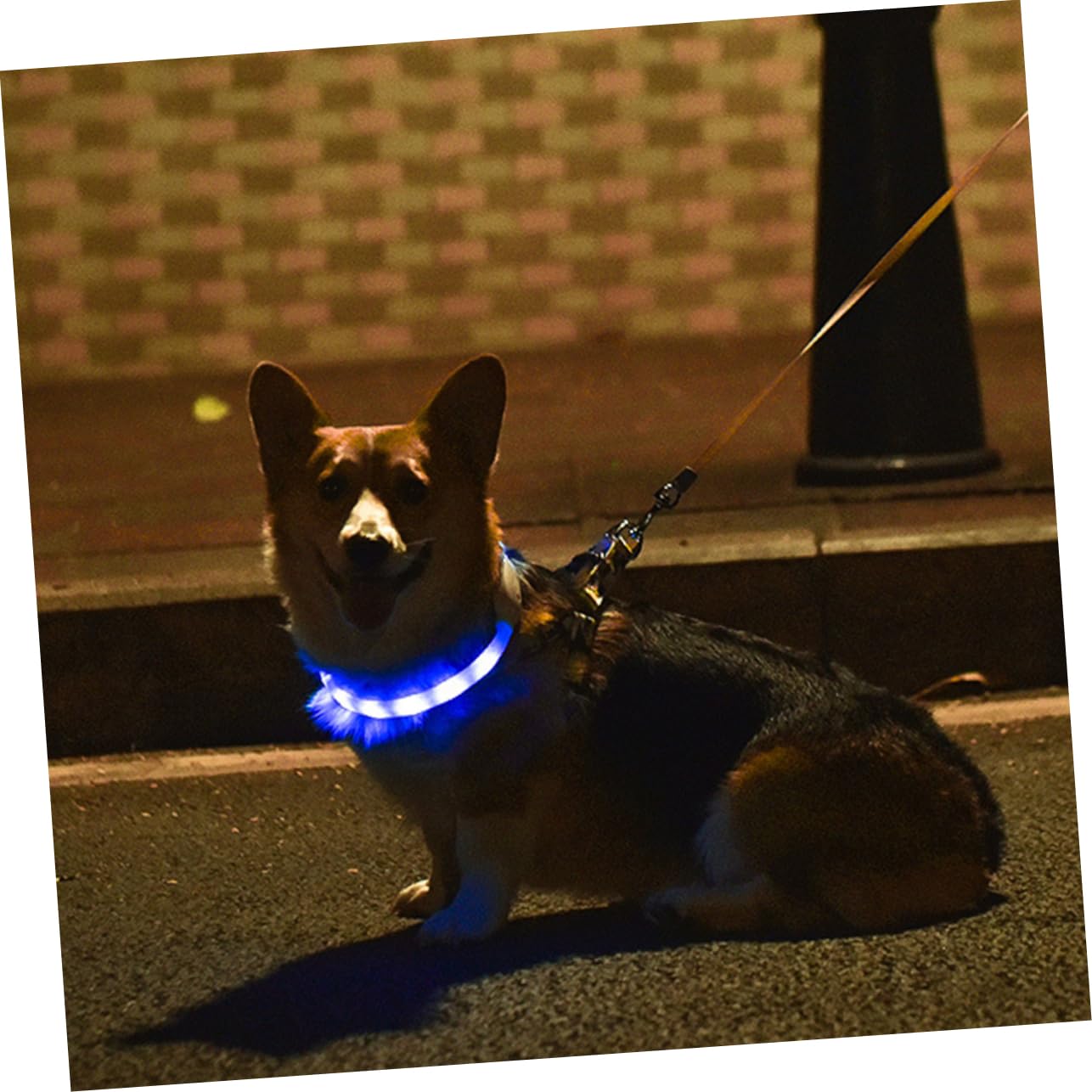Toddmomy 2juegos Collar Led USB Recargable para Collar Luminoso De Visibilidad Nocturna para Material Resistente y Cómodo