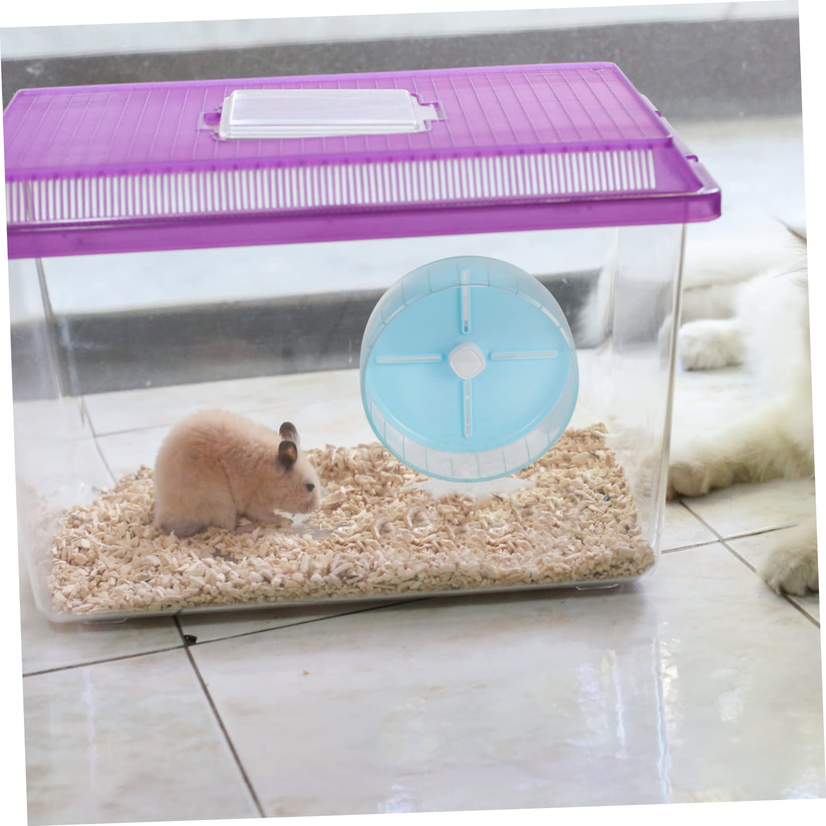 GANAZONO 1pieza Rueda De Ejercicio para Hamsters Silenciosa y Resistente con Soporte para Pequeños Animales