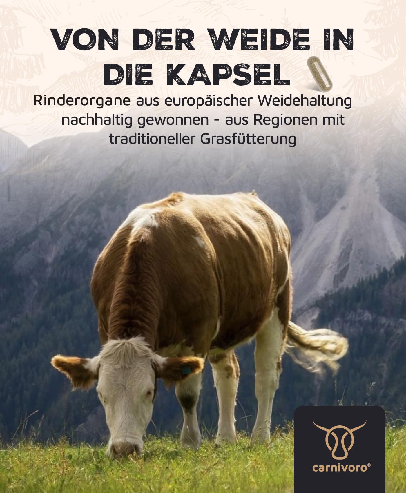 Carnivoro Goddess mit Austern & Kollagen - Frauen Komplex - 30 Tage Packung - Superfood - Natürliches Eisen, Zink, Vitamin A, Vitamin B12, B2, B3, B5, Folat, Kupfer - Keto - Paleo