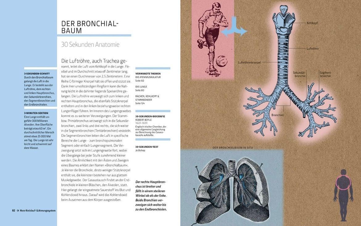 Anatomie und Medizin in 30 Sekunden: Die 100 wichtigsten Ideen und Behandlungen für den menschlichen Körper