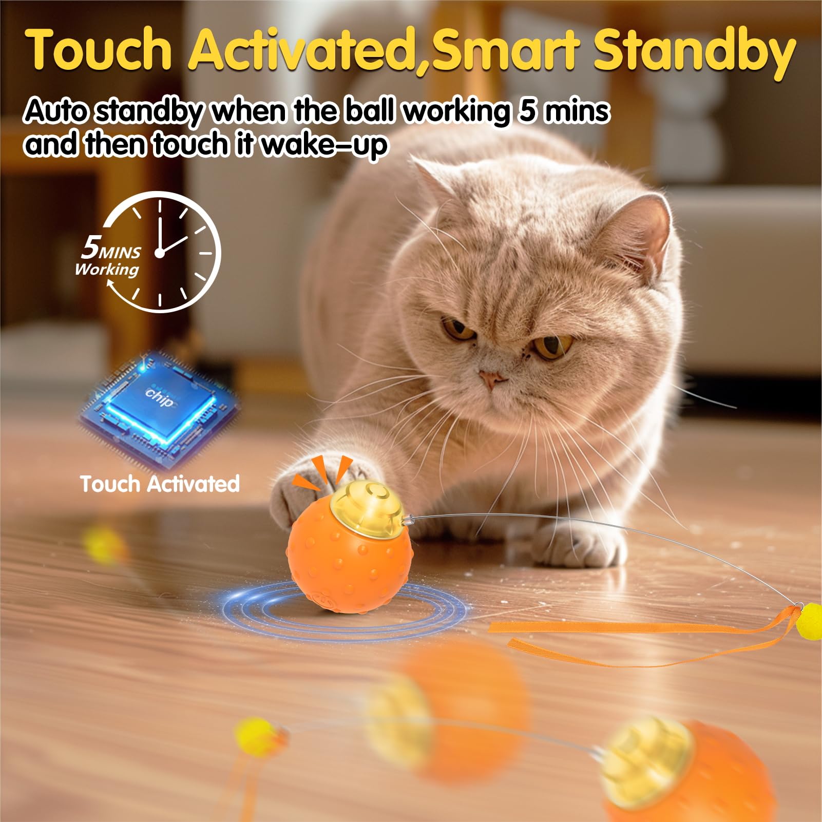 Muhhiba Balle interactive pour chat d'intérieur