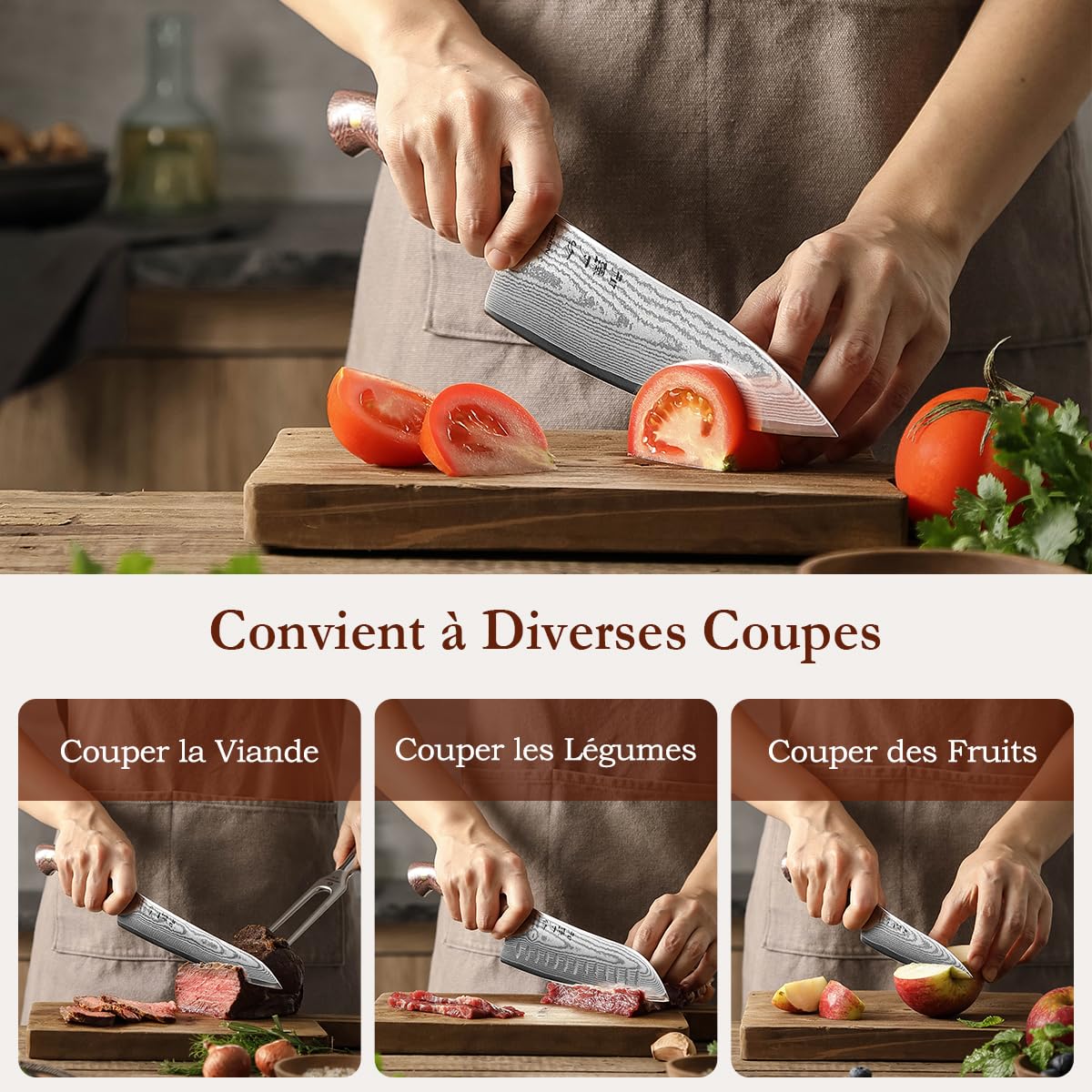HEZHEN Damas Ensembles de Couteaux de Cuisine 5 Pièces，Set de Couteaux de Chef Professionnels en Acier Damas Couteau Santoku, Manche en Micarta