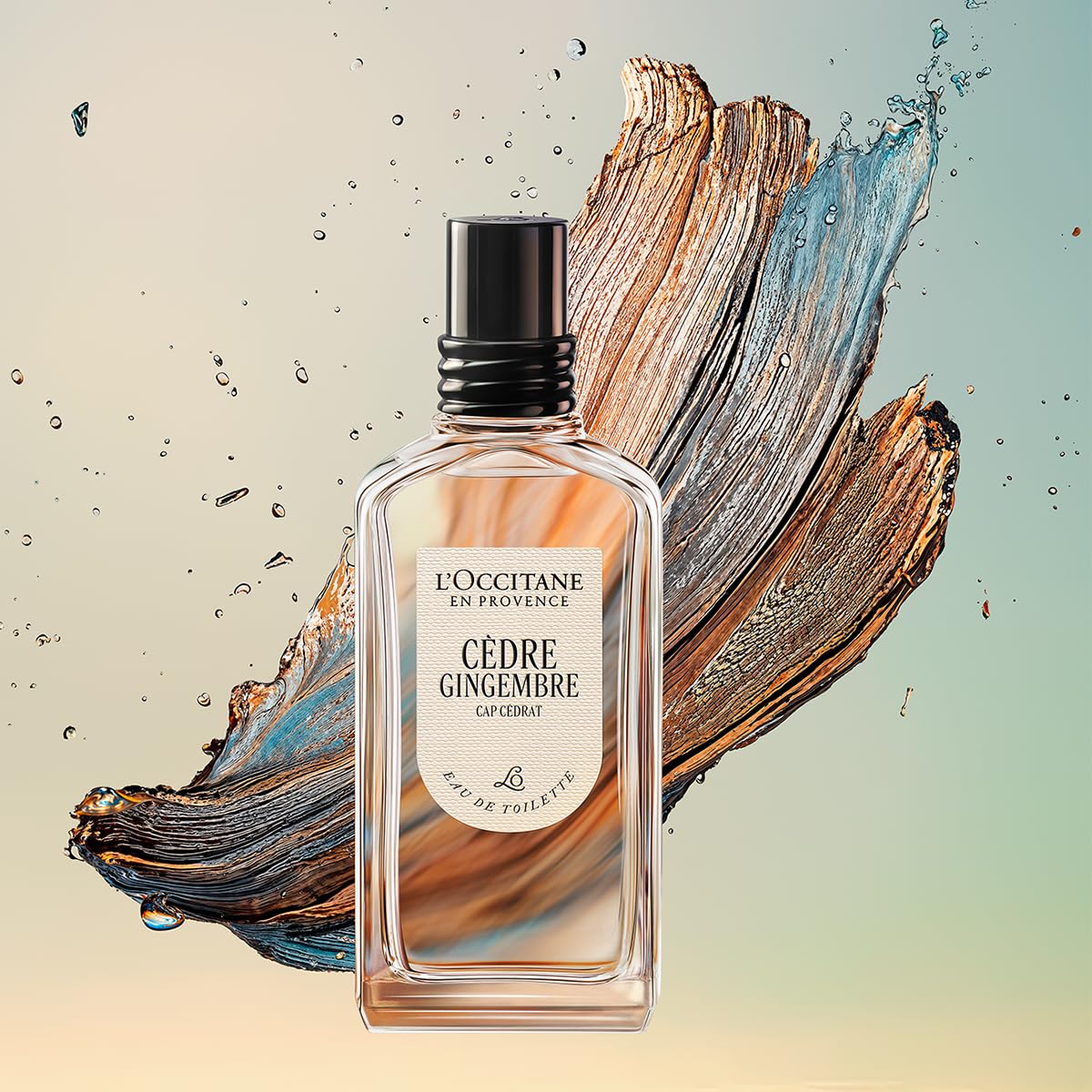 L'Occitane Cèdre Gingembre Eau De Toilette 50ml : Amazon.com.au