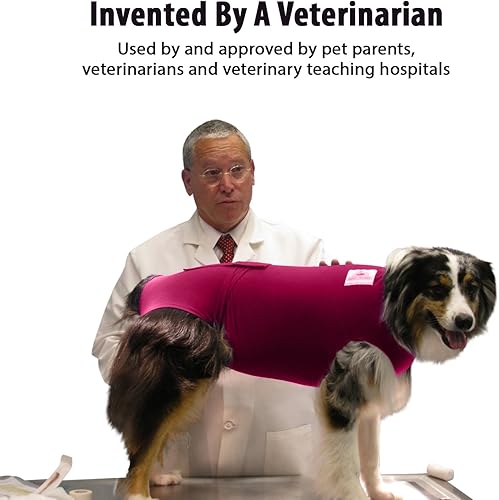 Miniatura 4 de Surgi Snuggly - Soporte lavable de pañal desechable para perros, hecho con tela estadounidense - se ajusta a cachorros y perros adultos - un