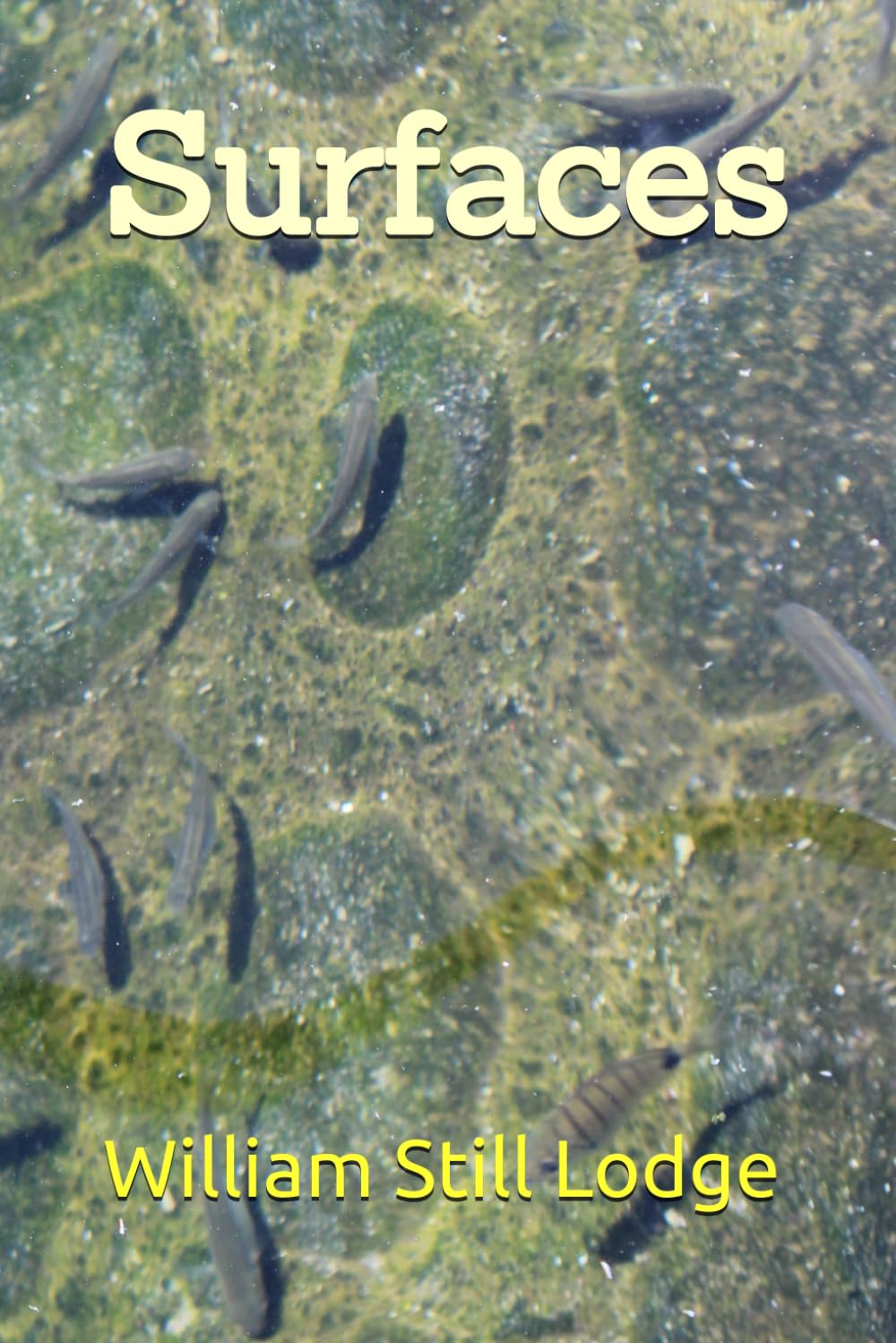 Surfaces