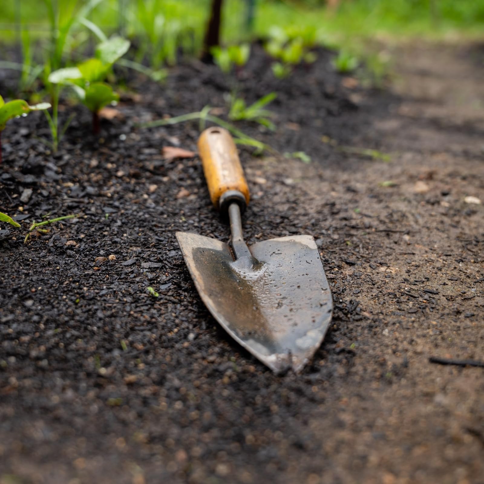 QUARKZMAN 2pcs Pala da Giardinaggio Manuale 11,4 x 3,3" in Acciaio Inossidabile con Marcature di Profondità per Trapianto con Manico Attrezzi da Giardinaggio