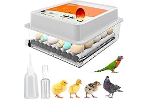 OBI-36 Egg Incubator: The Ultimate Hatching Solution for Poultry Enthusiasts