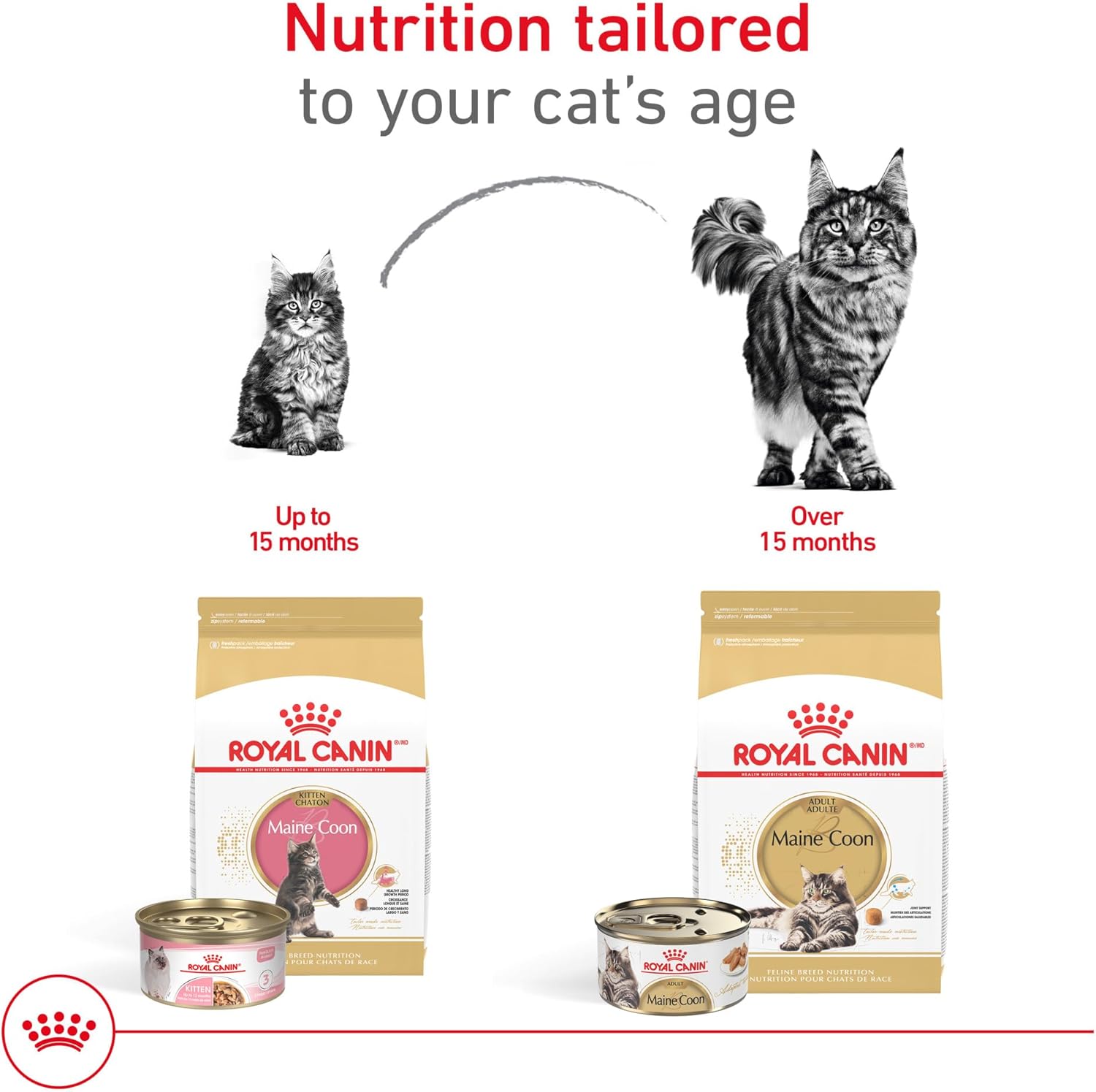Royal Canin Feline Breed Nutrition Maine Coon Adult Thin Slices in Gravy Cat Food, 3 oz (Pack of 24)