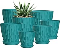 Vista 12 de Macetas SQKH de 4 pulgadas, juego de 6 macetas de interior, macetas con agujeros de drenaje y bandejas para orquídeas, violetas, suculentas, hierbas