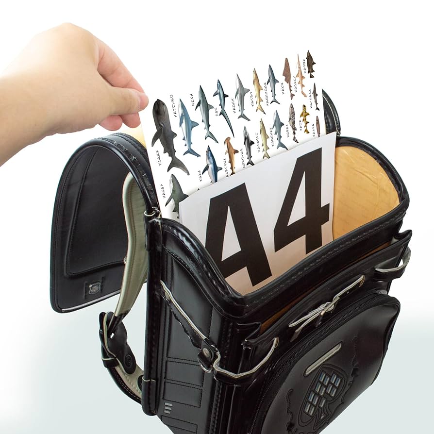 Amazon.co.jp: The Access Shark Picture Book ajiki A4 Shark