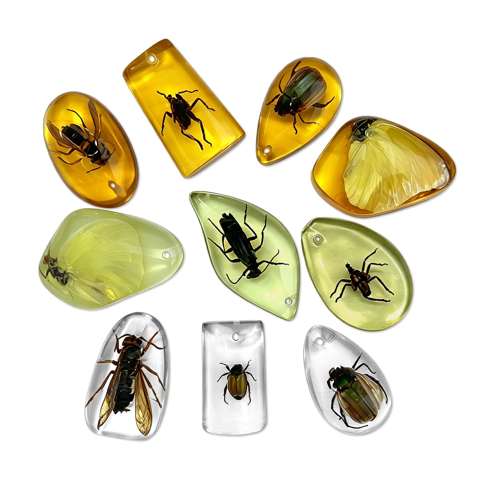 10 pcs Insect Amber Specimens, VEINARDYL Resin Insect Fossil Pendant, Luminous Insects Specimens Educational and Scientific Amber Collections Home Decorations - Random