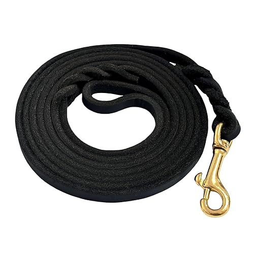 Guiding Star Leather Dog Leash for Small Dogs 6 ft